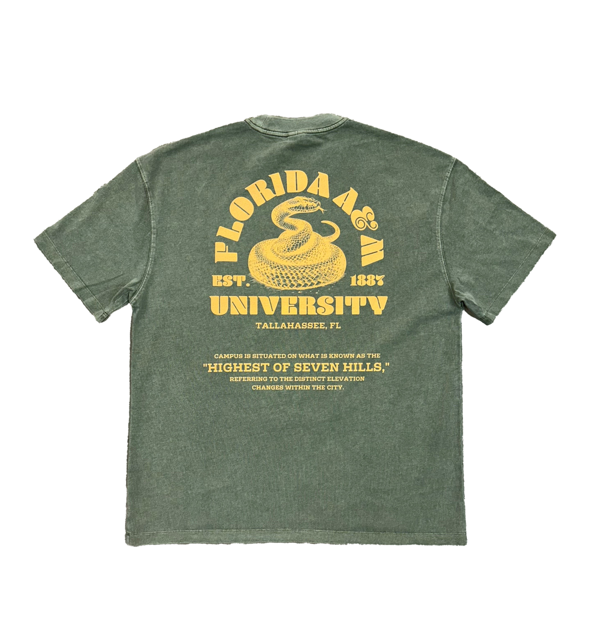 Ancestral Paradise Oversized Heavyweight Tee